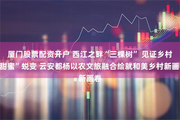 厦门股票配资开户 西江之畔“三棵树” 见证乡村“甜蜜”蜕变 云安都杨以农文旅融合绘就和美乡村新画卷